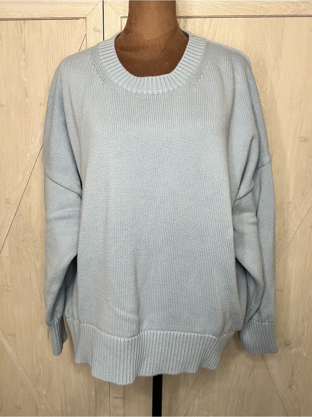 Quince 100% Organic Cotton Boyfriend Crew Sweater Sky Blue 2X Plus